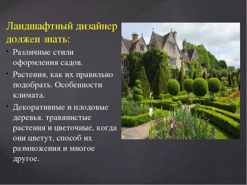 Типы местности ландшафта: основные характеристики и особенности