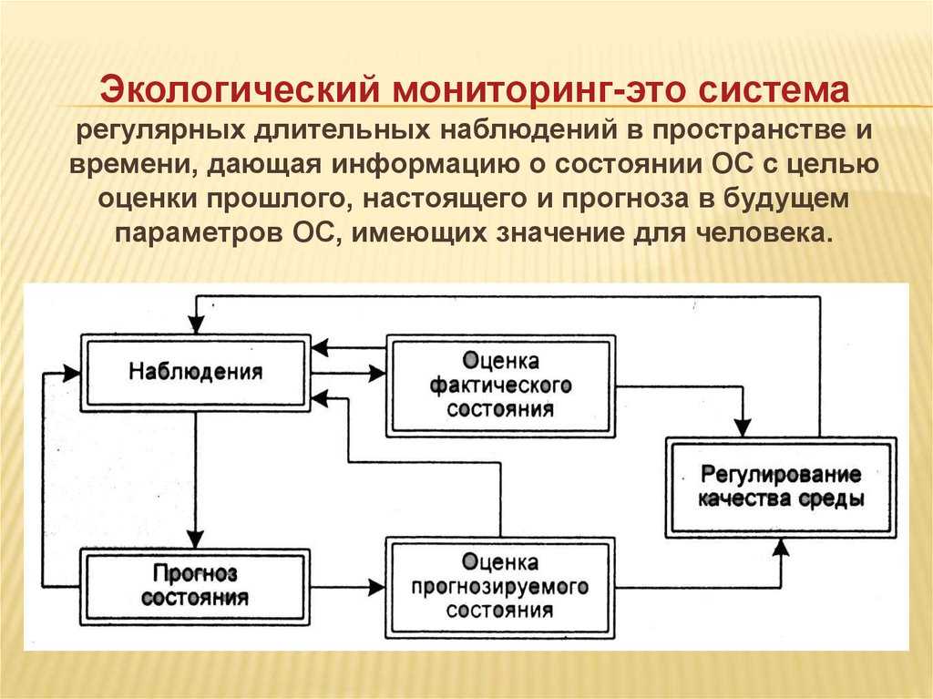 Что такое мониторинг и его виды? - ответы на вопросы