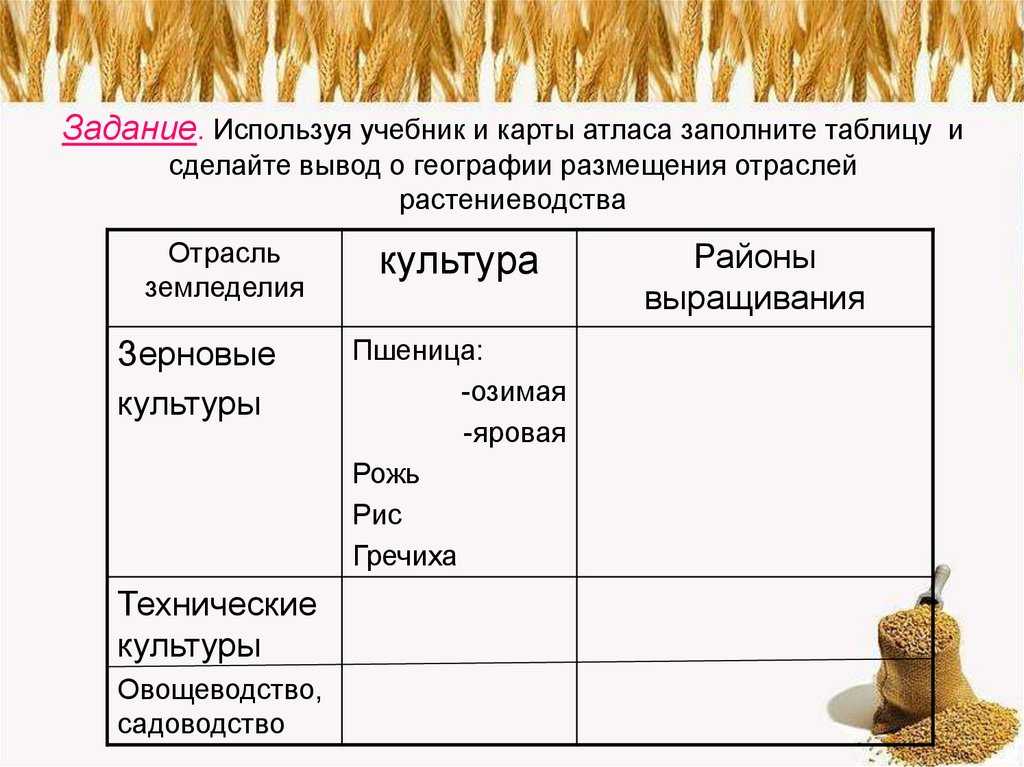 Судьбоносный год для развития картофелеводства – утренняя новостная рассылка 7:40