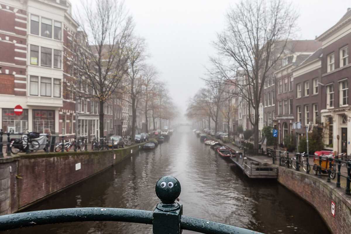 New amsterdam на карте