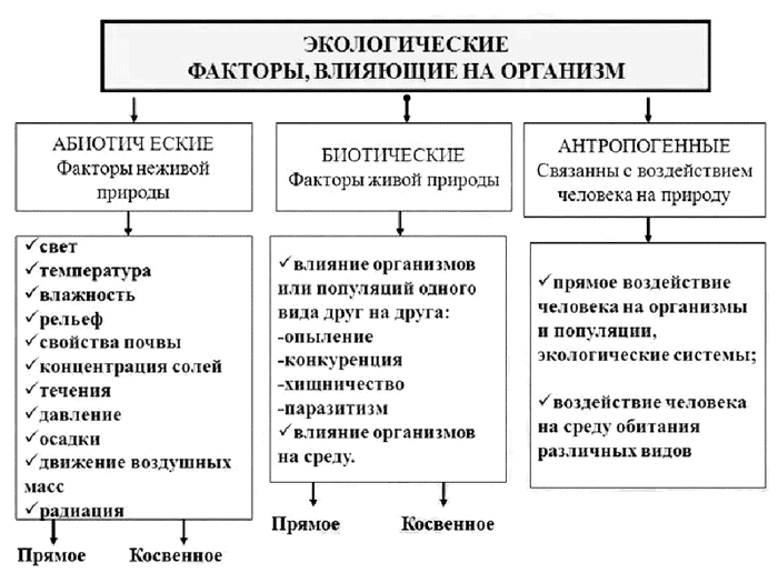 Презентация на тему "антропогенное воздействие человека на биосферу-11 класс" по биологии для 11 класса