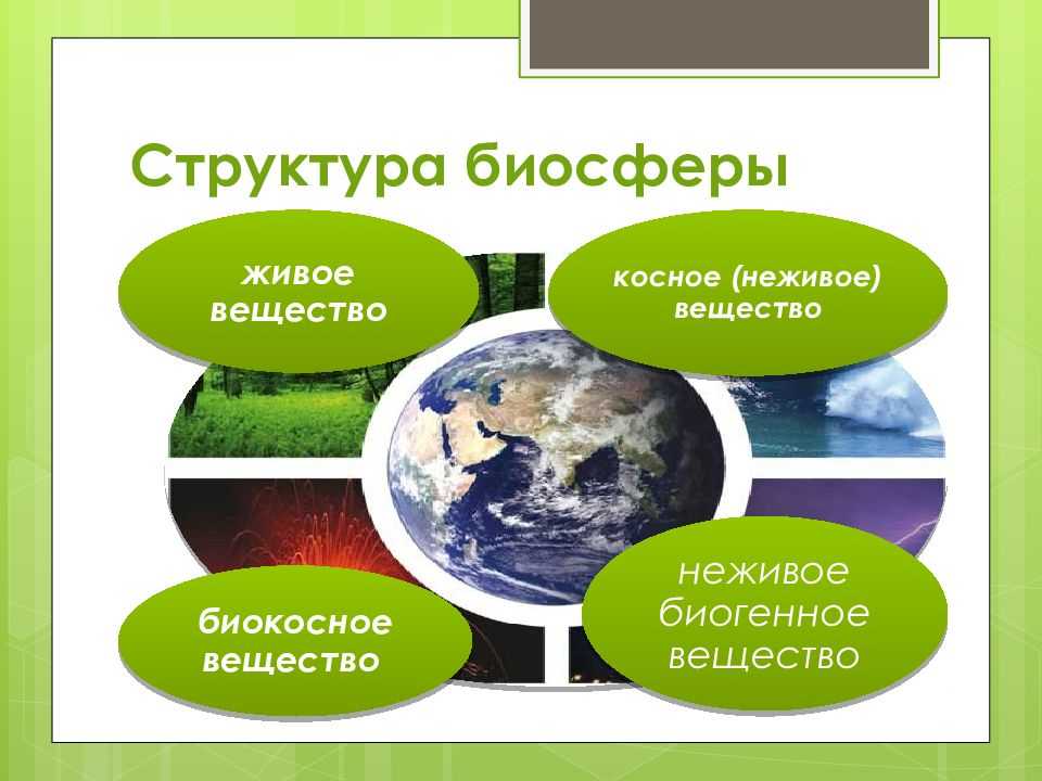 Что такое биосфера и какой примерный возраст биосферы