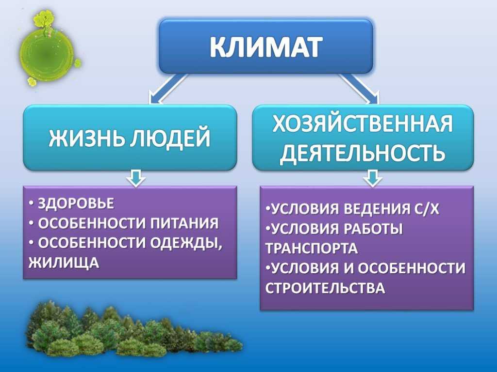 Умеренный климатический пояс