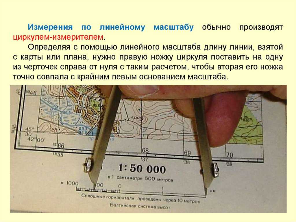 Как определить и рассчитать масштаб: способы, виды, инструкция