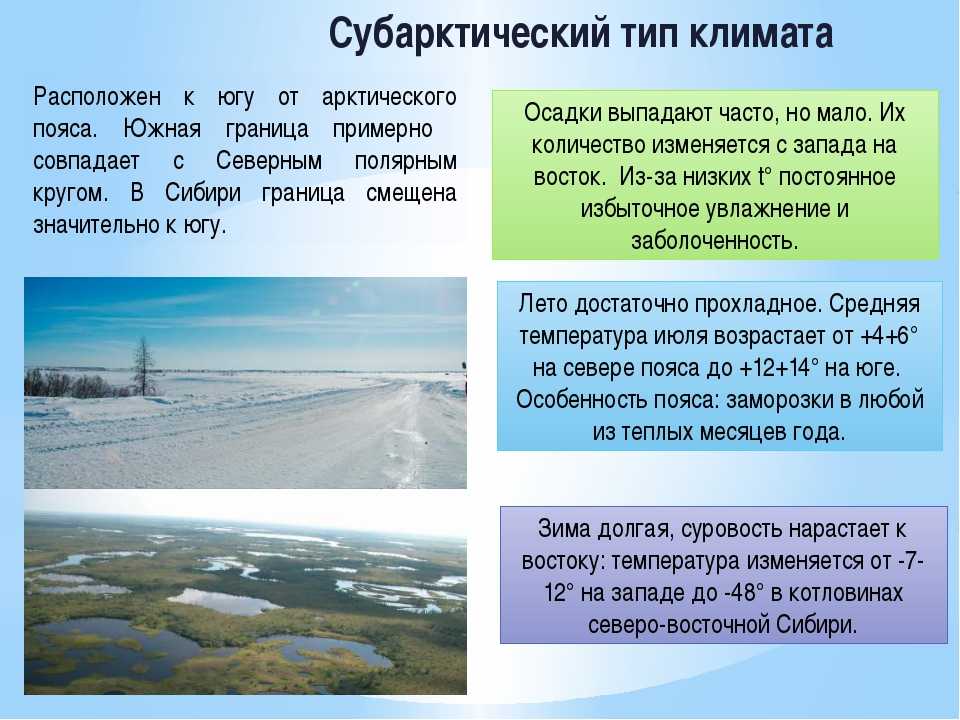 Арктический пояс – характеристика и описание климатов