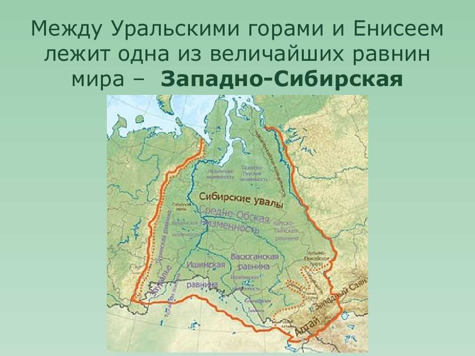 Гп западно сибирской равнины