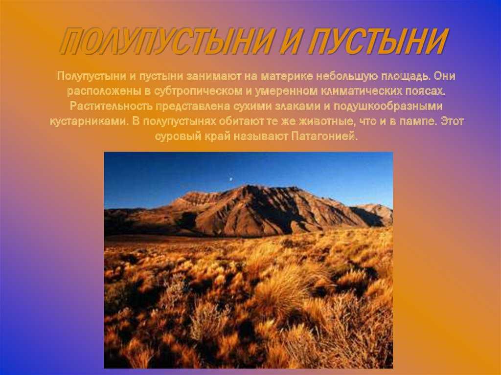 Пустыни и полупустыни — климат, животный мир и растительность