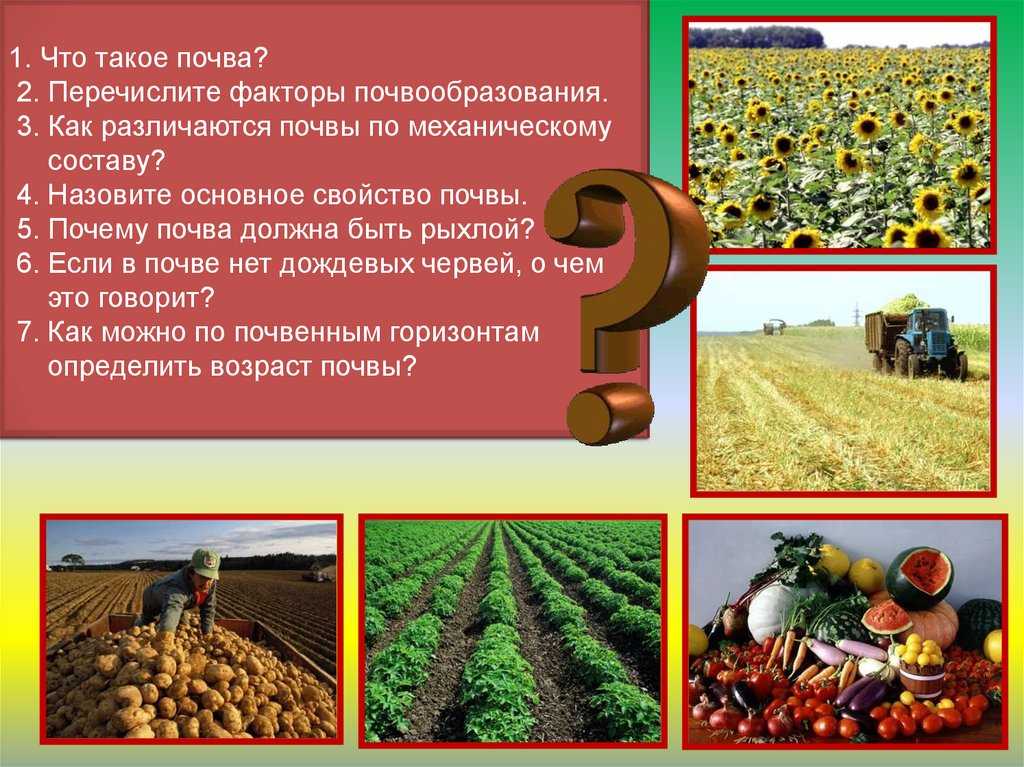 Почему почву называют зеркалом ландшафта
