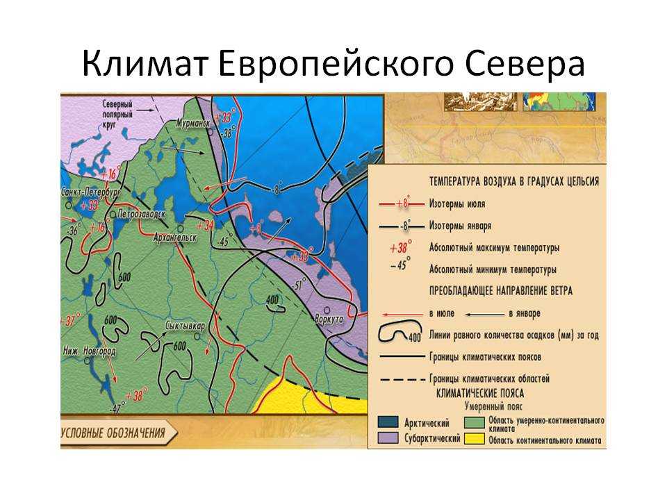 Урок 11: европейский север россии - 100urokov.ru