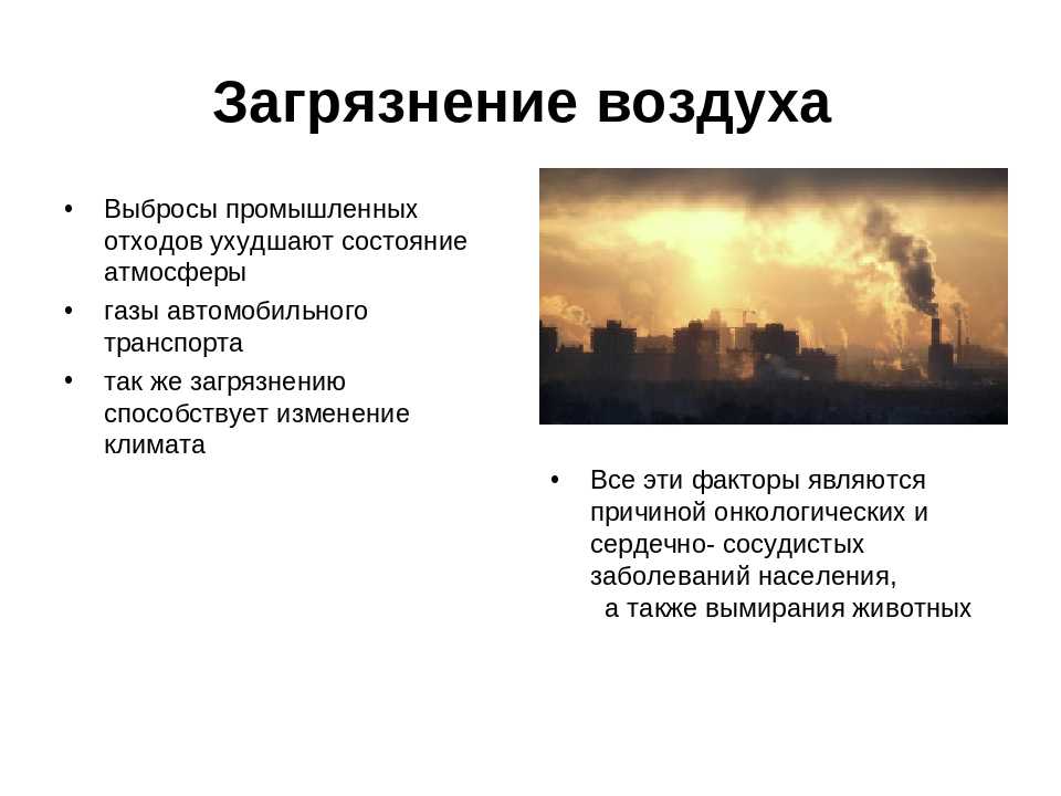 Загрязнение окружающей среды: виды, проблемы, источники