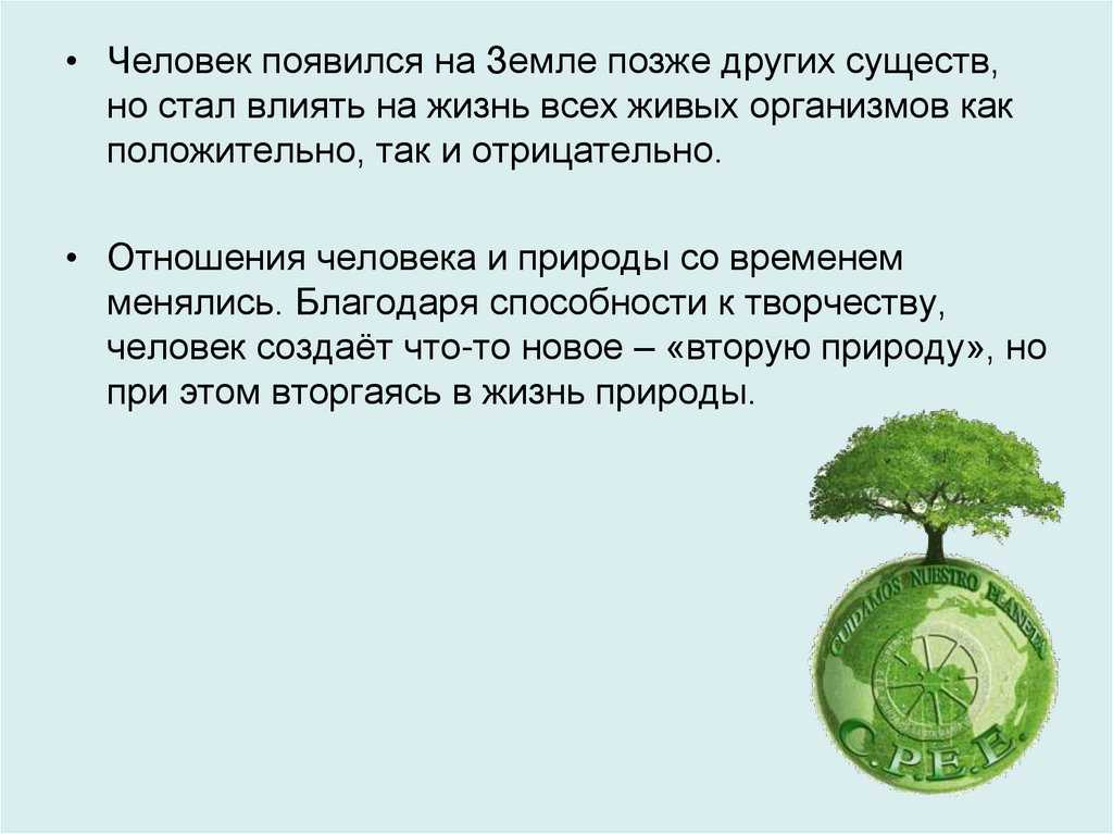 Какие бывают ландшафты: виды и классификация с примерами