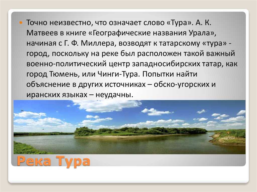 Тура - читайте на сatcher.fish