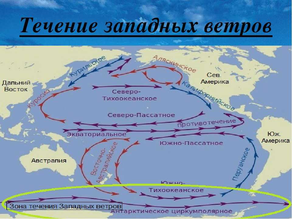 Течения атлантического океана - холодное и теплое течение, гольфстрим, влияние на климат