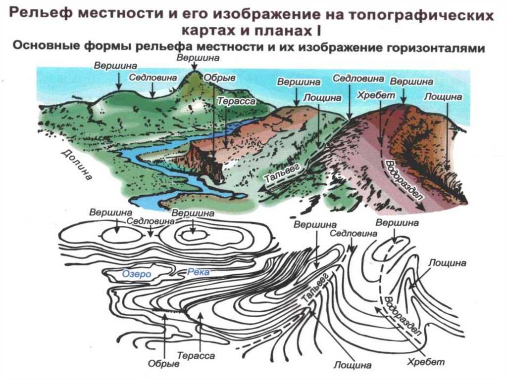 Презентация на тему "формирование рельефа земли" по географии для 7 класса