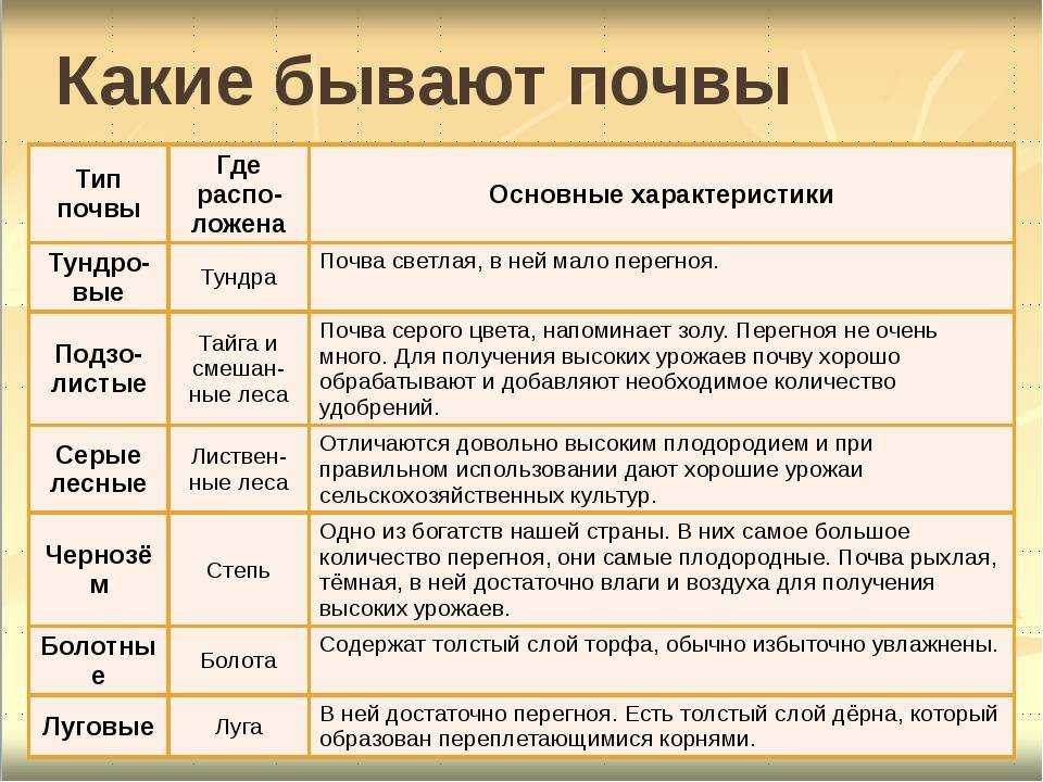 Равнина это что такое простыми словами с примерами и фото