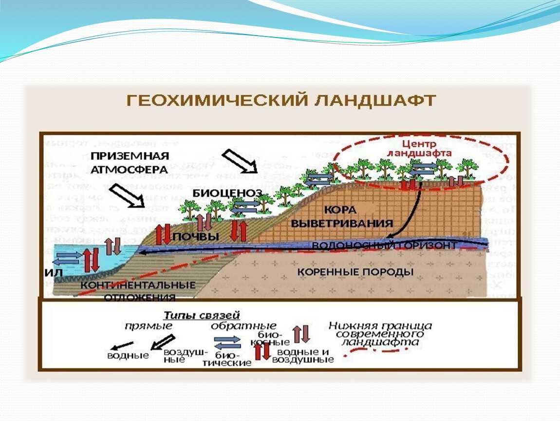 Докучаев интересные факты из жизни. докучаев: вклад в экологию и географию