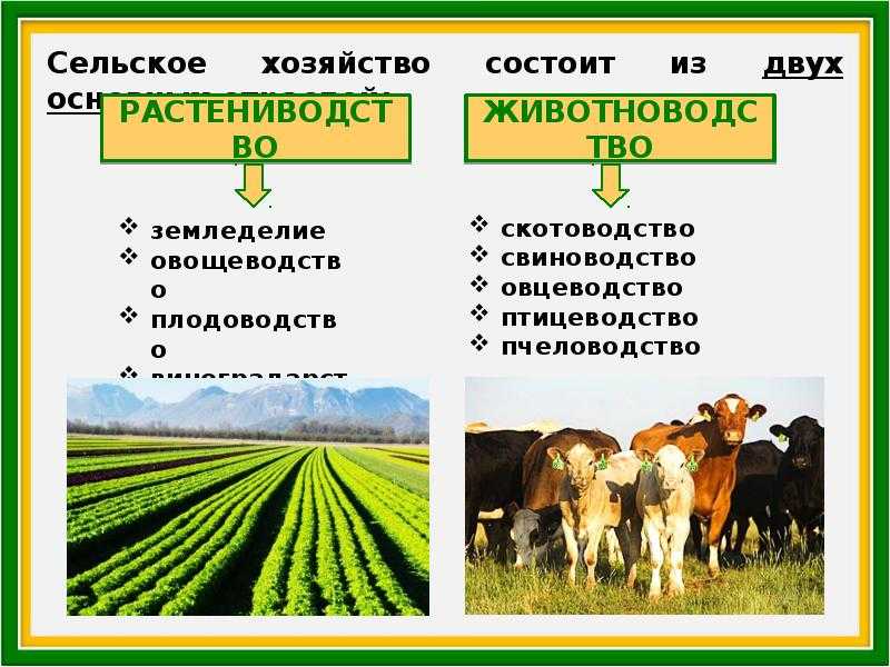 Влияние особенностей климата на размещение основных отраслей растениеводства