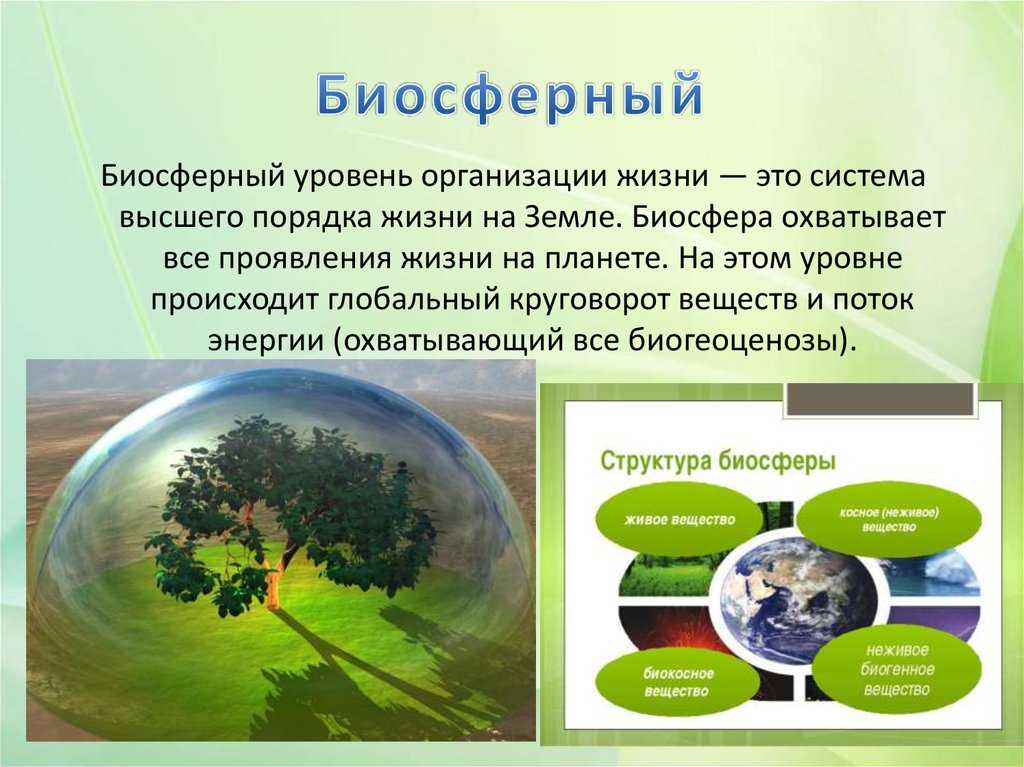 § 45. биосфера и ее структура - общая биология: учебное пособие для 11-го класса