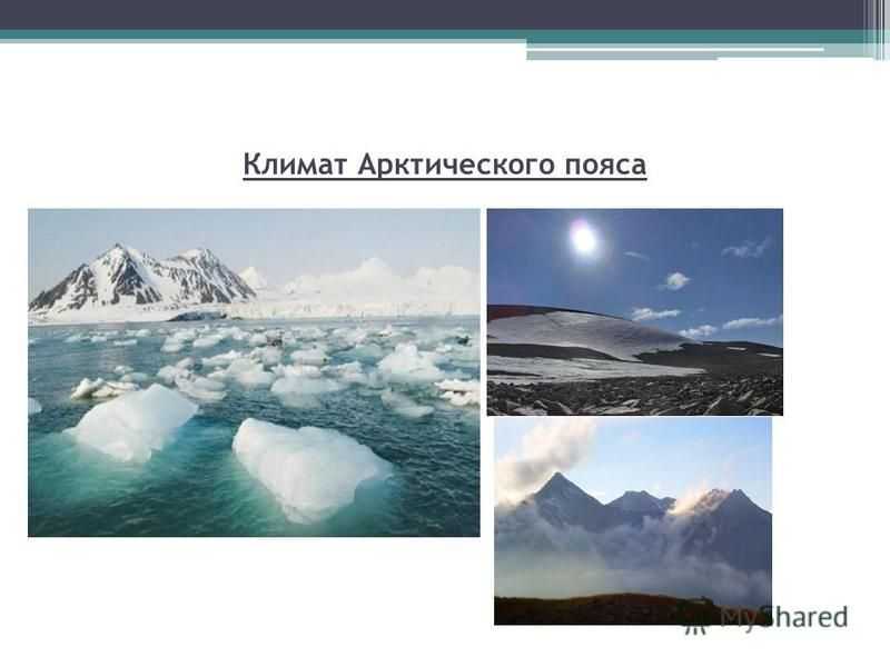 Антарктика - происхождение, расположение и основные характеристики