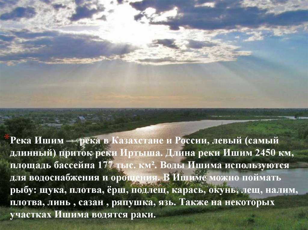 Ишимская степь