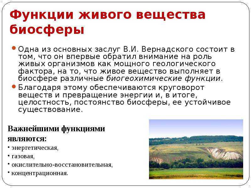 Учение вернадского о биосфере