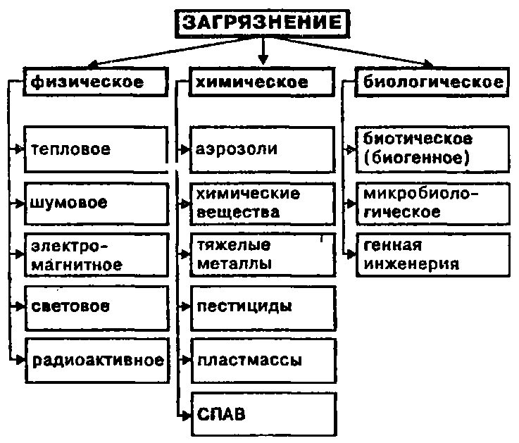 Виды загрязнения окружающей среды. классификация