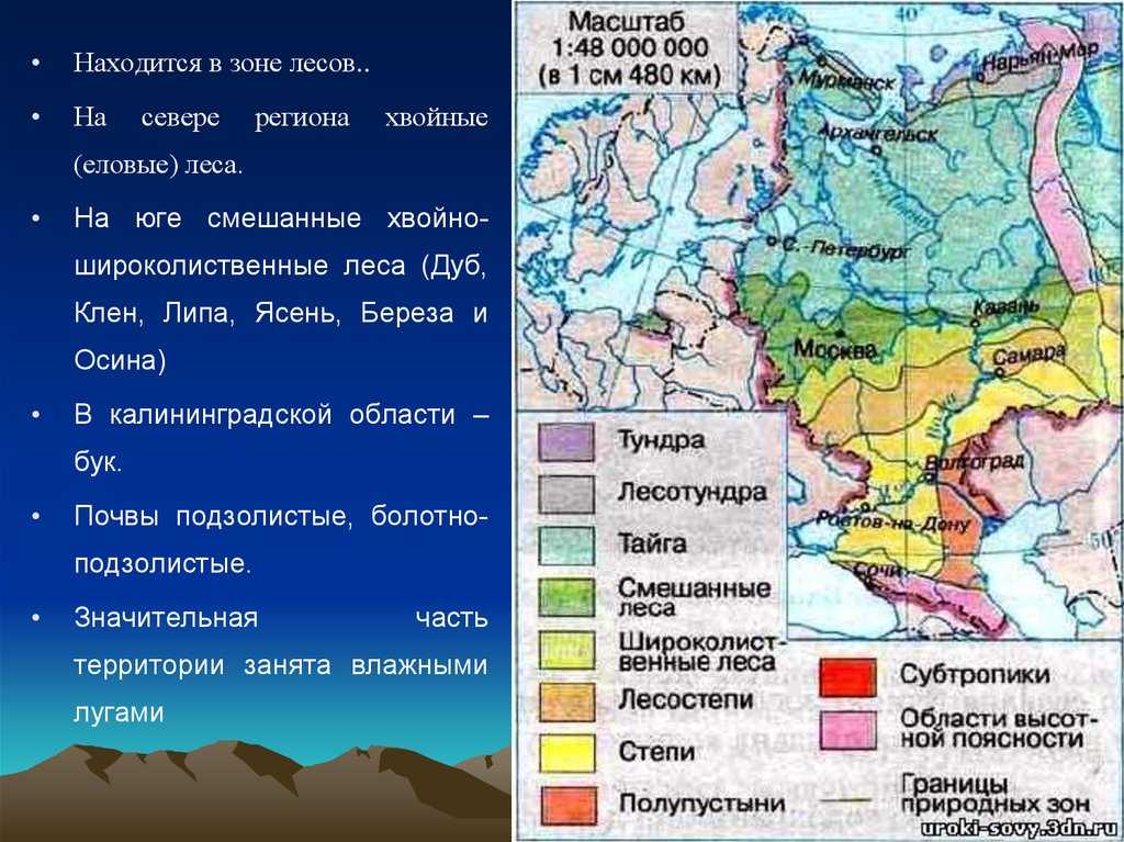 Центральная европа