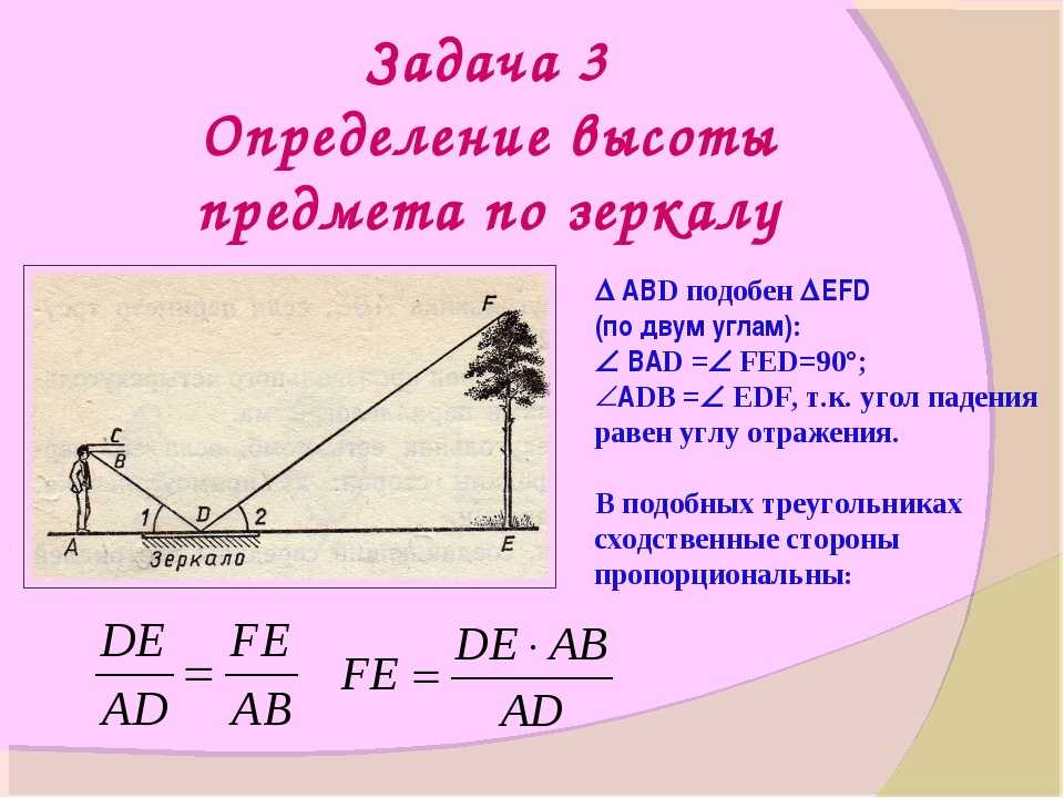 Сколько километров в среднем может пройти человек за день?