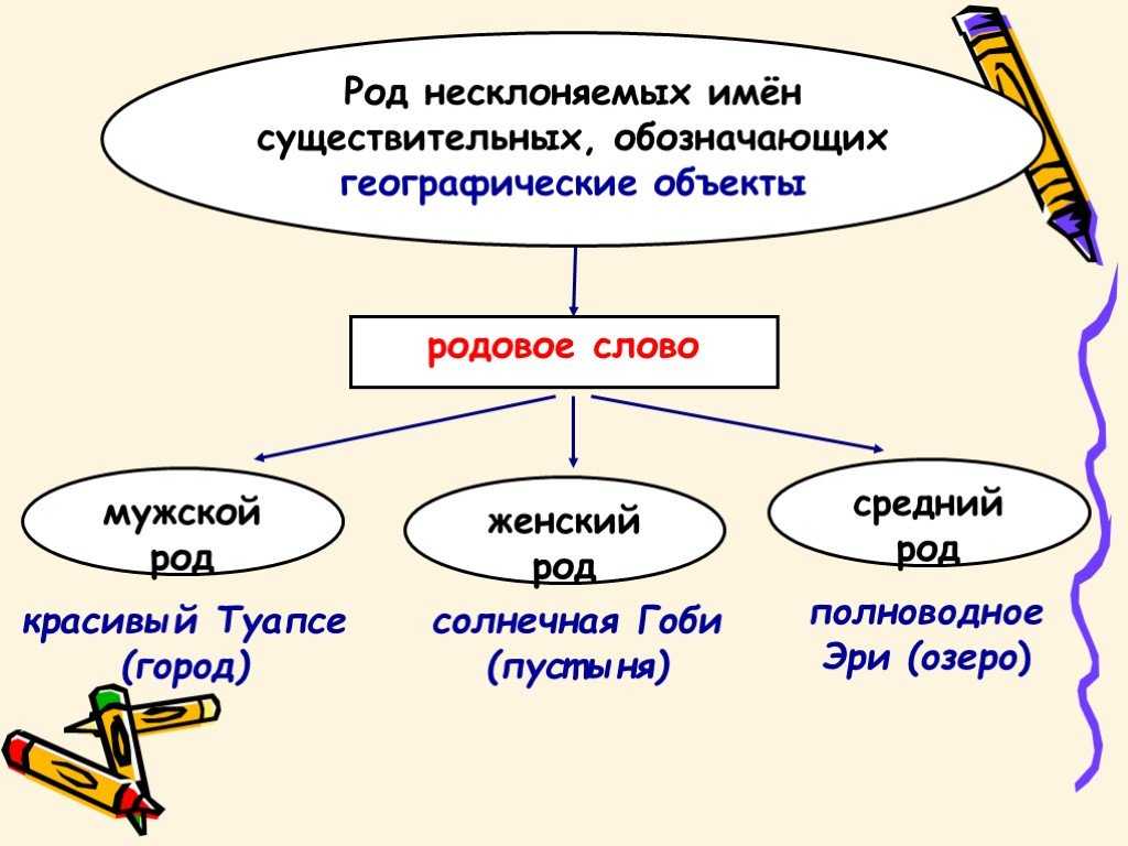 § 147. род несклоняемых существительных