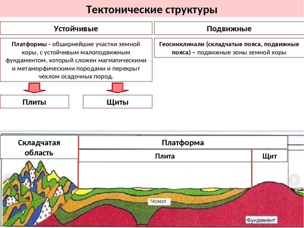 Древнейшие участки земной коры. Строение земной коры тектоническая структура. Отличие плиты от платформы. Тектонические структуры схема.