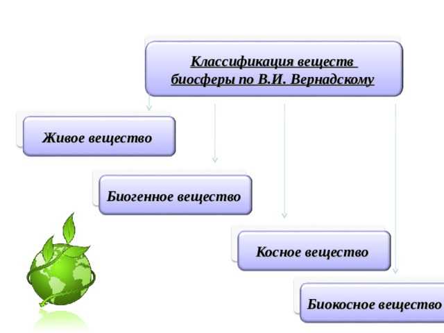 Живое вещество биосферы