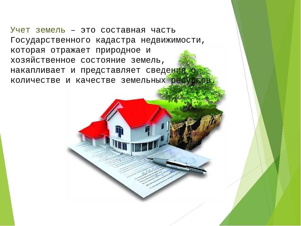 Основные понятия и виды государственного кадастра кратко