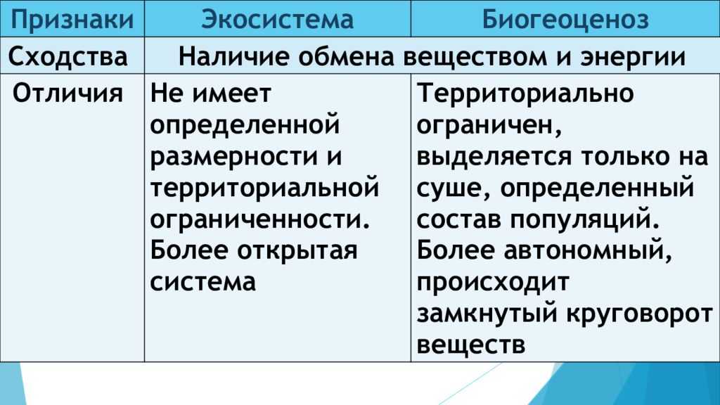 Учение вернадского о биосфере и ноосфере кратко – положения, роль, сущность