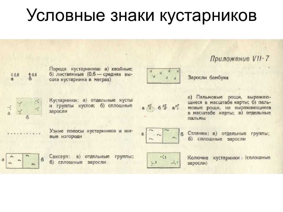Группа кустарников на лугу топографический знак