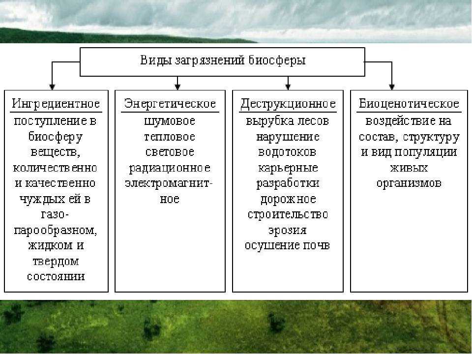 Загрязнение биосферы