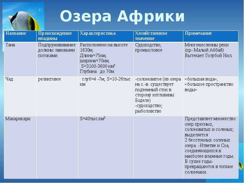 Климат африки: режим осадков и природные пояса континента - tarologiay.ru