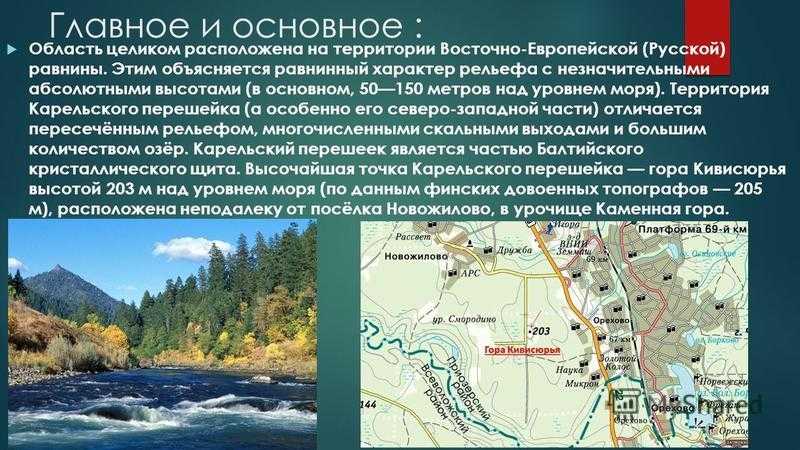 Презентация на тему "характеристика северо-западный экономического района" 9 класс