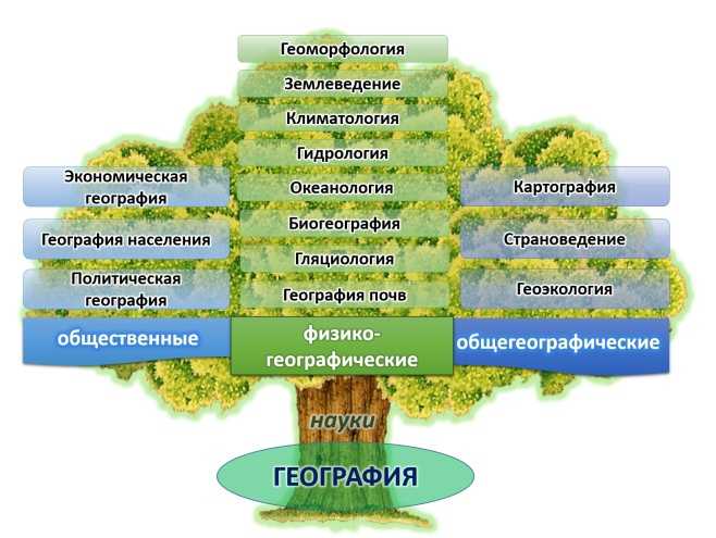 Почвенно-экологические условия выращивания сельскохозяйственных культур в волоколамском районе московской области 2