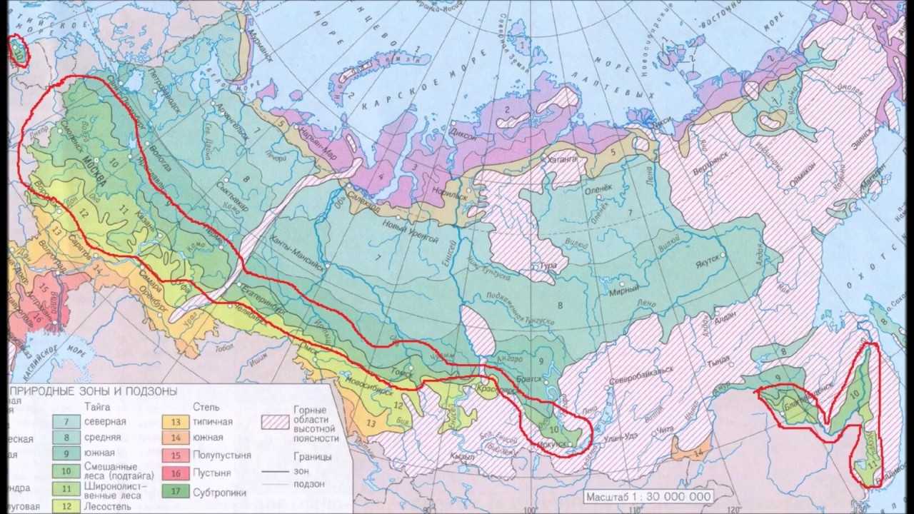 Степная зона россии - онлайн справочник для студентов