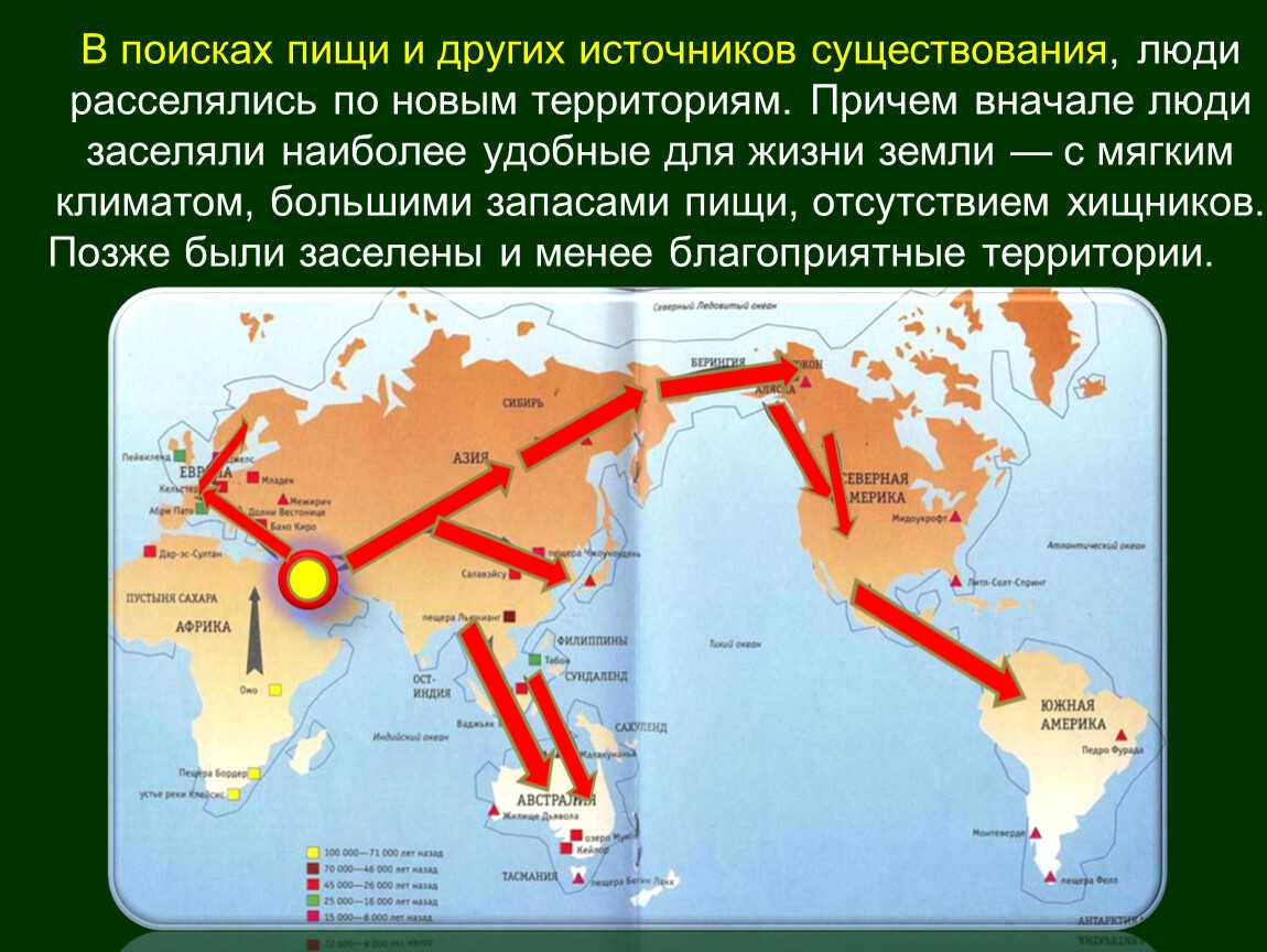 Зона степей россии: расположение, карта, природные условия, животные и растения