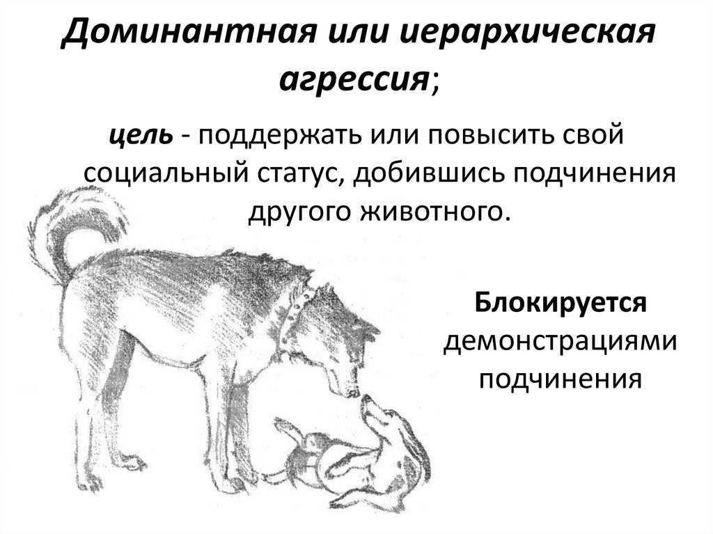 Подготовка карты к работе, определение координат и целеуказание презентация, доклад, проект