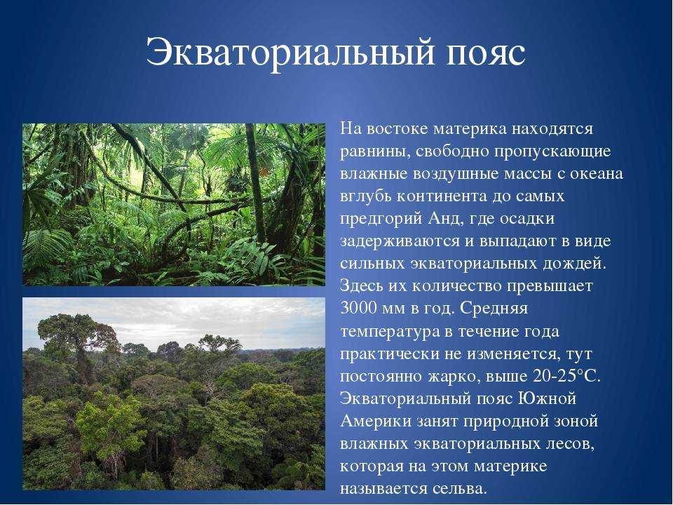 Типы климатических поясов. координаты и географические особенности положения