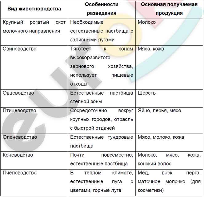 Vegrus — картофелеводство россии