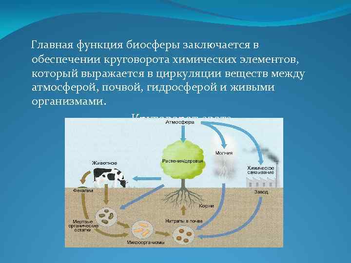 Способы лечения наследственных заболеваний. диагностика и лечение наследственных болезней. лечение моногенных генетических болезней