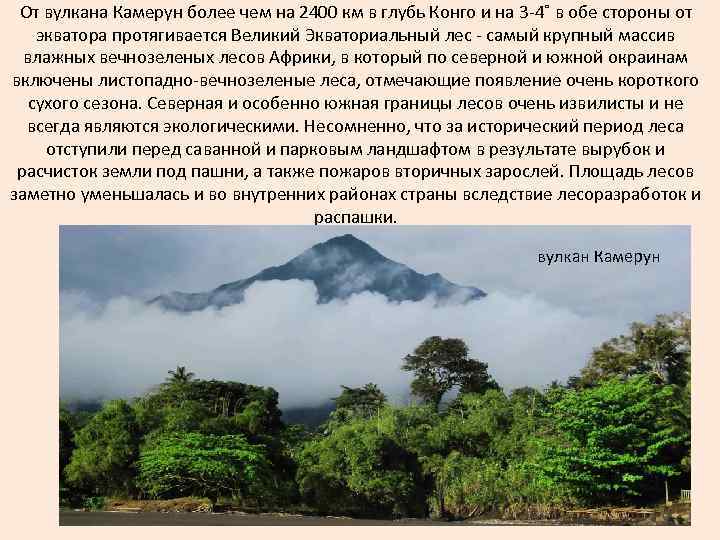 Камерун (вулкан) — камерун — планета земля