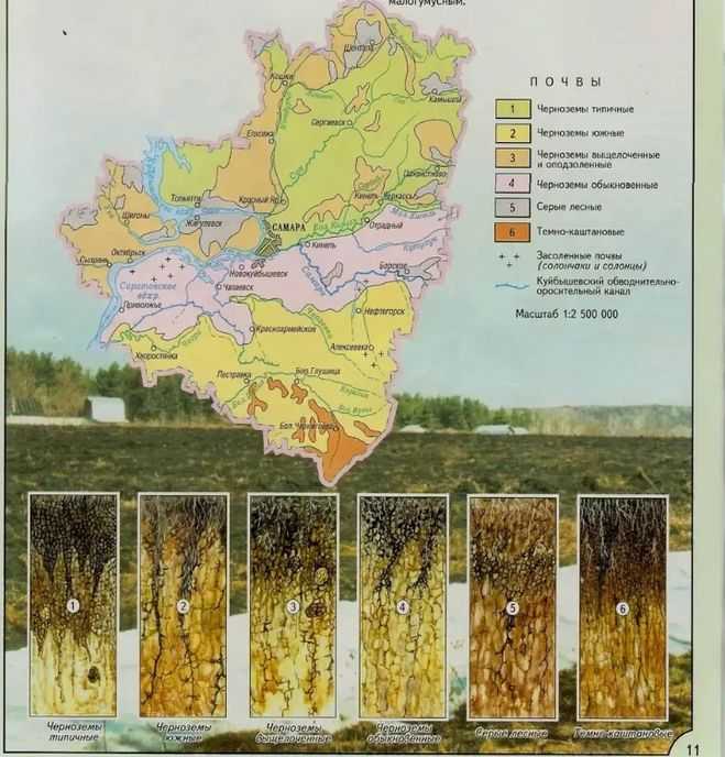 Центральная черноземная полоса