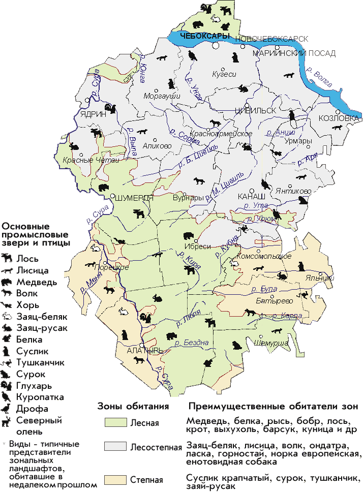 Физико-географическая и социально-экономическая характеристика чувашии. дипломная (вкр). география, экономическая география. 2013-02-23
