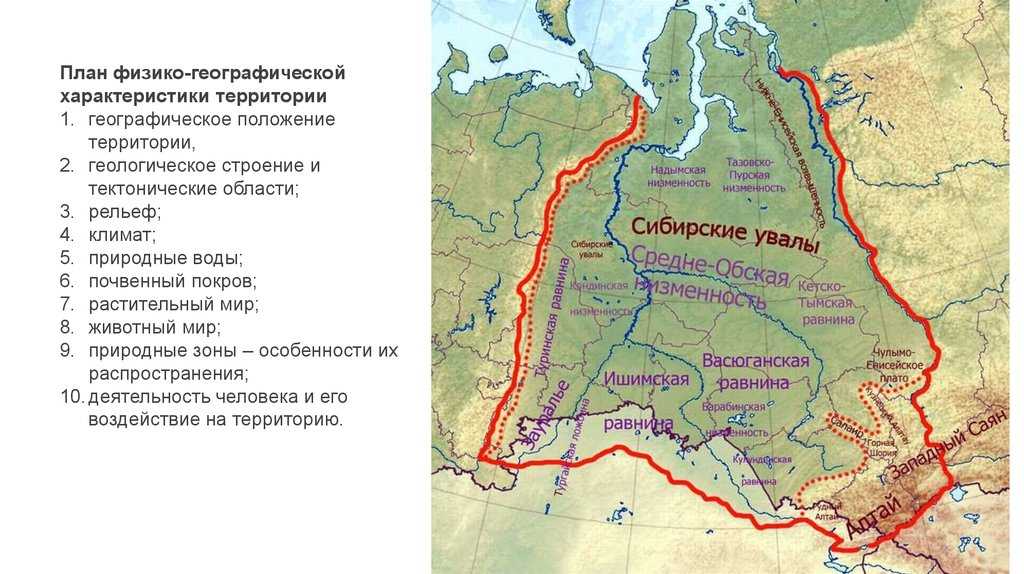 Что находится на севере западно сибирской равнины