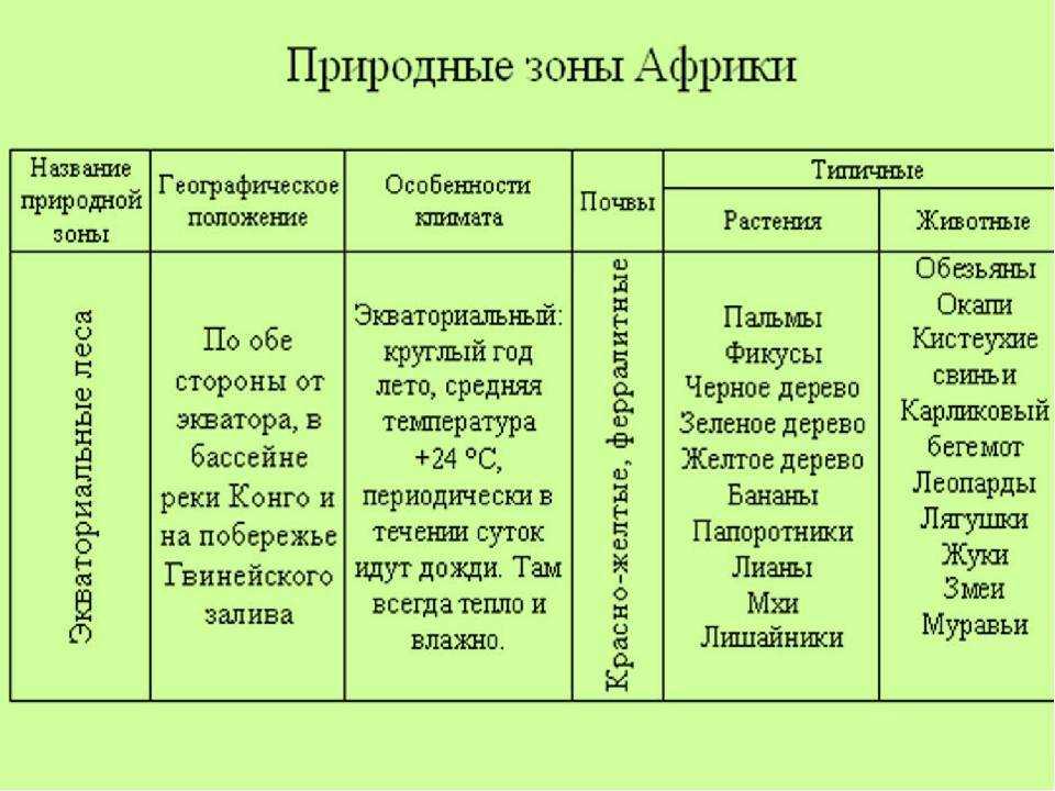 Природная зона жестколистных лесов