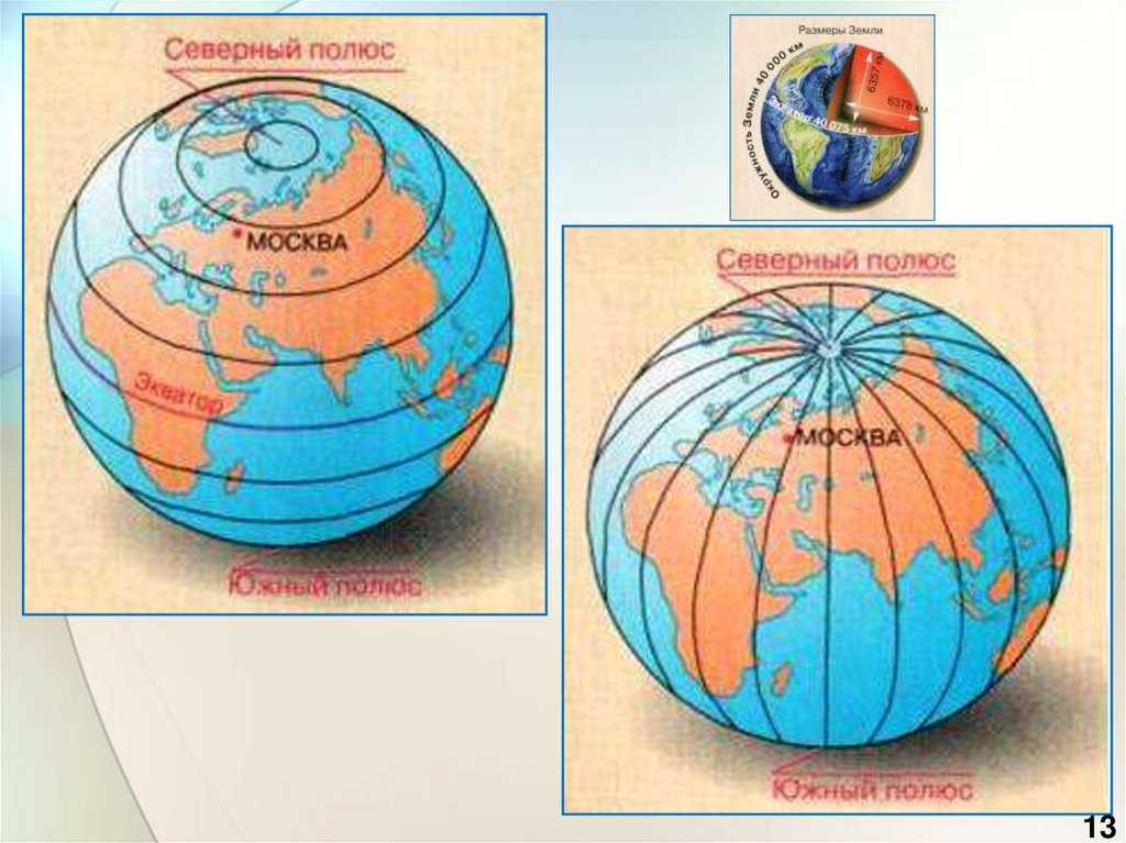 Форма параллелей на карте. Форма на глобусе меридианы. Форма на глобусе меридианы и параллели. Форма параллели на глобусе и на карте. Градусная сеть 5 класс.